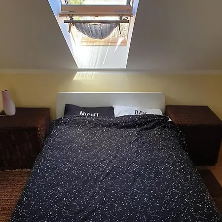 Apartment Vid