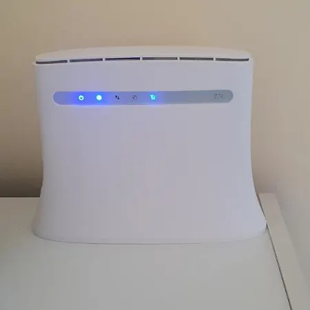 Vid Soko Banja
