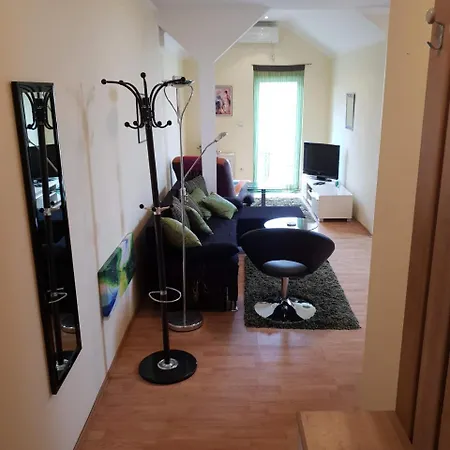 Apartment Vid