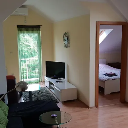 Vid Soko Banja